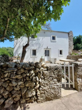 House Belej - Lola